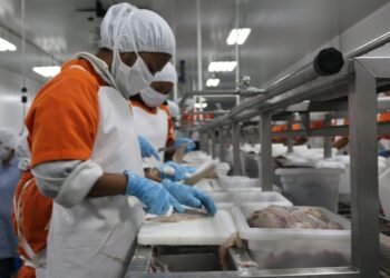 Sector de acuicultura y pesca cierra sus exportaciones en más de 154 millones de dólares