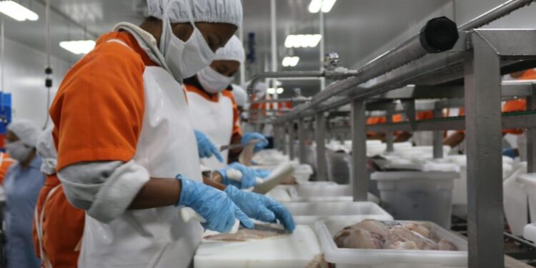 Sector de acuicultura y pesca cierra sus exportaciones en más de 154 millones de dólares