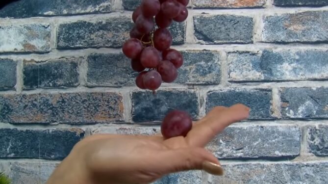 Conozca las formas curiosas y extravagantes para recibir el Año Nuevo