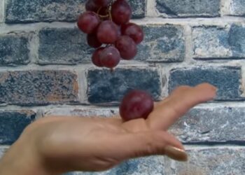 Conozca las formas curiosas y extravagantes para recibir el Año Nuevo