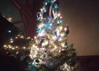 Árbol de Navidad forma parte de las tradiciones navideñas