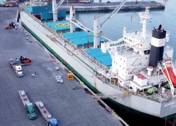 Dan a conocer los resultados del año en materia portuaria