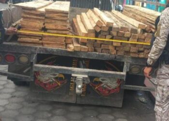 Dos personas fueron detenidas por el comercio de productos forestales. /Foto: Mingob
