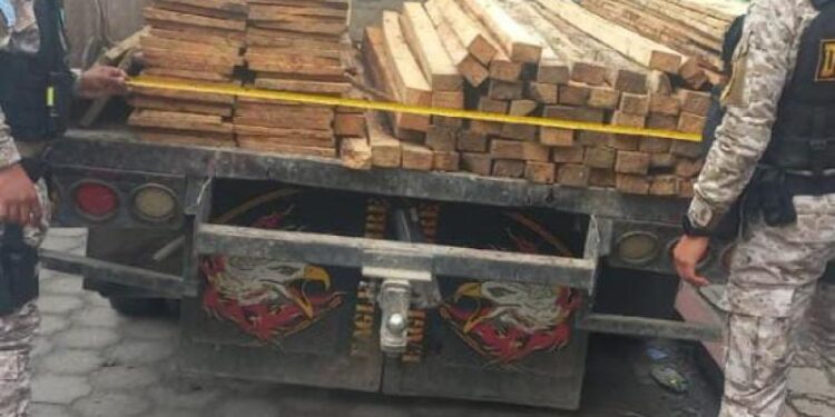 Dos personas fueron detenidas por el comercio de productos forestales. /Foto: Mingob