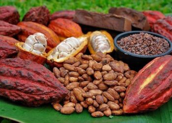 Proyecto Tuq’tuquilal, opción de ecoturismo en Lanquín