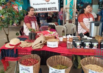 Efectúan la Ruta Turística del Café, en San Pedro Necta, Huehuetenango