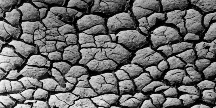 FAO llama a proteger los nutrientes de los suelos para garantizar alimentación