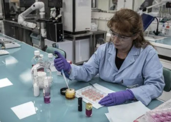 Qué actividades se desarrollaron para promover la ciencia y la tecnología