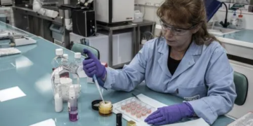 Qué actividades se desarrollaron para promover la ciencia y la tecnología