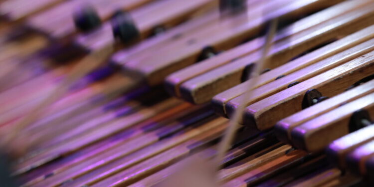 Reconocen el desarrollo musical de la marimba en el país
