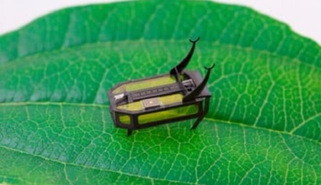 Robots inspirados en escarabajos para realizar tareas en espacios reducidos