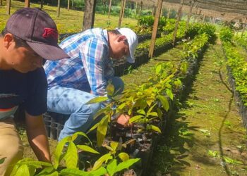 MAGA confirma proyectos de desarrollo agropecuario para Petén