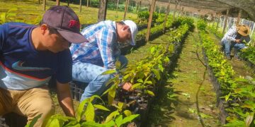 MAGA confirma proyectos de desarrollo agropecuario para Petén