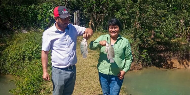 Petén aumenta producción acuícola en el área rural