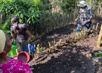 Chiquimula suma huertos comunales