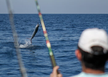 Arranca el campeonato nacional de pesca deportiva 2023