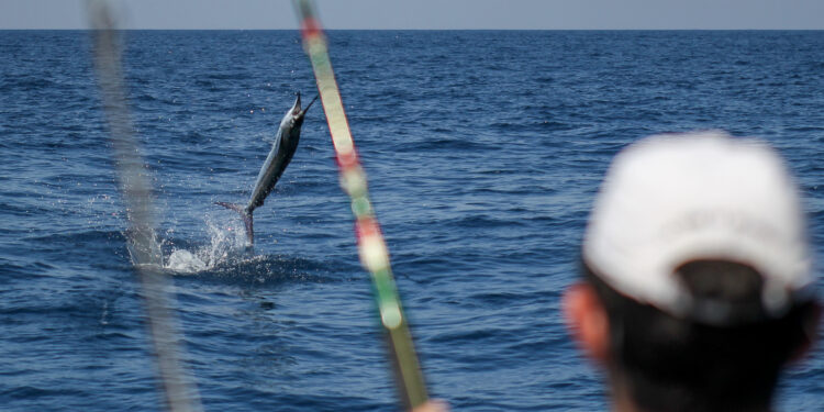 Arranca el campeonato nacional de pesca deportiva 2023
