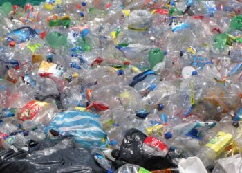 EAU prohíbe consumo de productos plásticos de un solo uso a partir de 2024