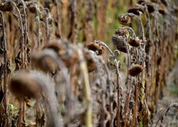 Ecuador lanzará en febrero su Plan Nacional de Adaptación al cambio climático