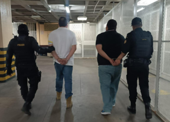 Reportan más de 300 capturas en la última semana