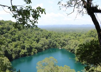 Sierra del Lacandón se ubica en el municipio de La Libertad en Petén. /Foto: Conap