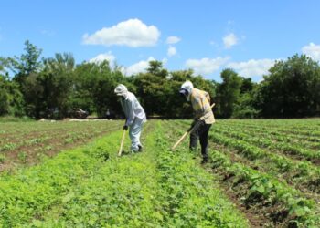 Socializan programa de arrendamiento de tierras con líderes comunitarios