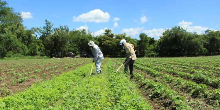 Socializan programa de arrendamiento de tierras con líderes comunitarios