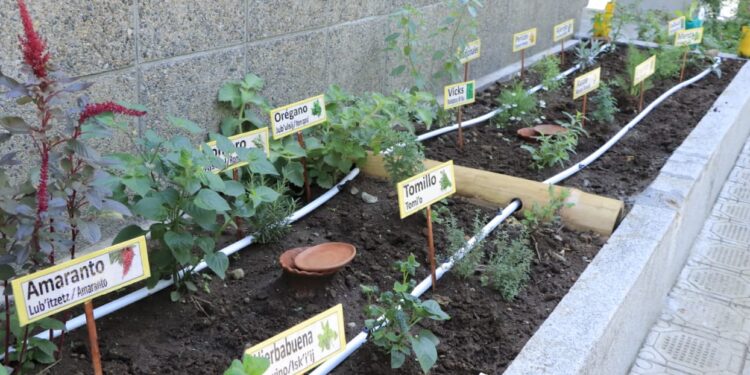 Coordinan establecimiento de escuela técnica de campo en Pasaco