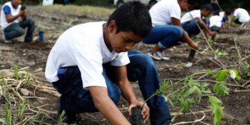 Educación ambiental, una forma de proteger la biodiversidad