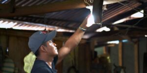 Solo el apoyo a la energía eléctrica beneficio a más de 14.3 millones de guatemaltecos.