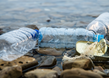 Tensión superficial del agua, clave en estudio de la contaminación fluvial