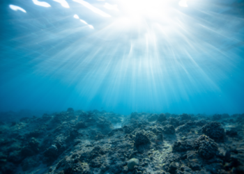 Estados Unidos se unirá a coalición de alta ambición para conservar el océano