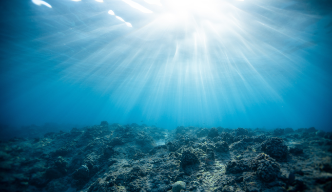 Estados Unidos se unirá a coalición de alta ambición para conservar el océano