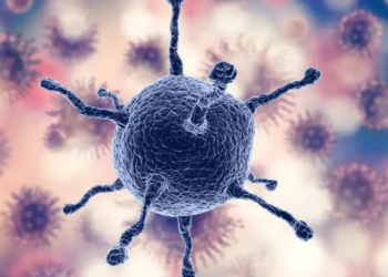 Las “gemelas digitales” permitirán afinar tratamientos contra el cáncer