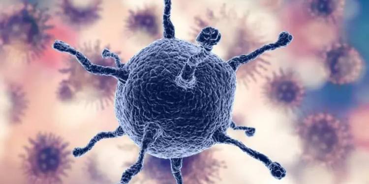 Las “gemelas digitales” permitirán afinar tratamientos contra el cáncer