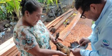 Guatemala se reporta libre de Influenza Aviar de Alta Patogenicidad