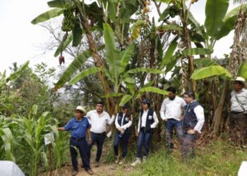 Verifican ejecución de proyecto de adaptación al cambio climático