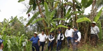 Verifican ejecución de proyecto de adaptación al cambio climático