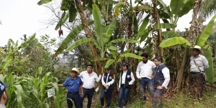 Verifican ejecución de proyecto de adaptación al cambio climático