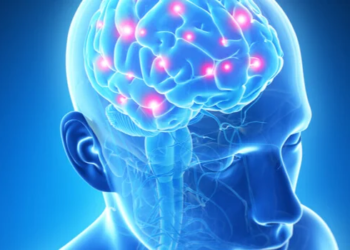 Memoria para objetos perdidos es mucho mejor de lo que se pensaba