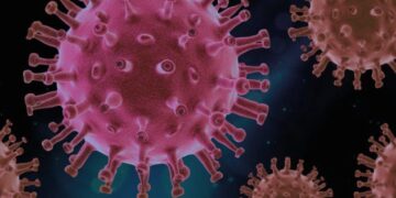 China comparte datos sobre COVID-19 con la OMS, que no halla nuevas mutaciones