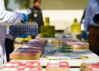 Continúan procesos legales para destrucción de droga incautada