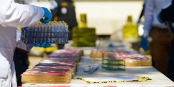 Continúan procesos legales para destrucción de droga incautada