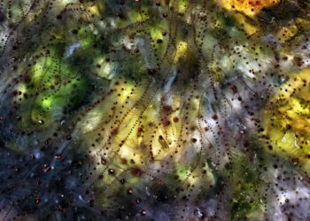 Descubren que el plancton emite dos gases que forman nubes e inciden en clima