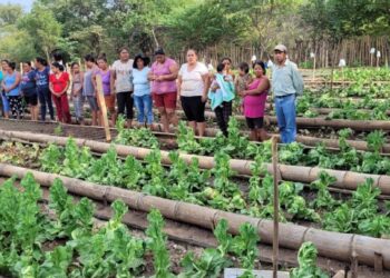 Familias recibieron charlas sobre seguridad alimentaria. /Foto: SESAN