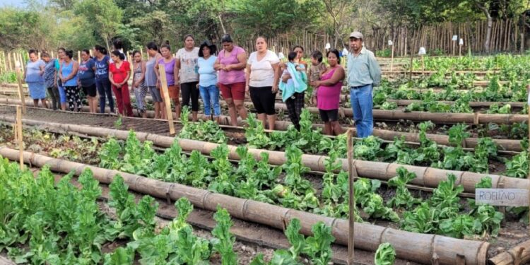 Familias recibieron charlas sobre seguridad alimentaria. /Foto: SESAN