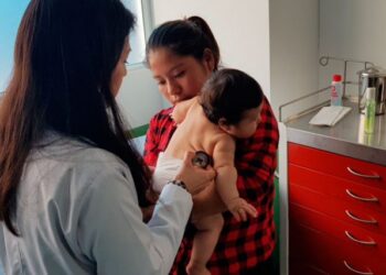 Rotavirus. /Foto: DCA