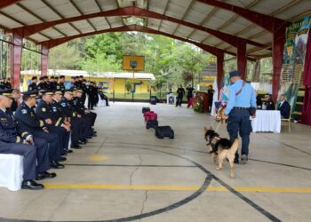 Gradúan a diez guías K-9 para reforzar lucha contra el narcotráfico