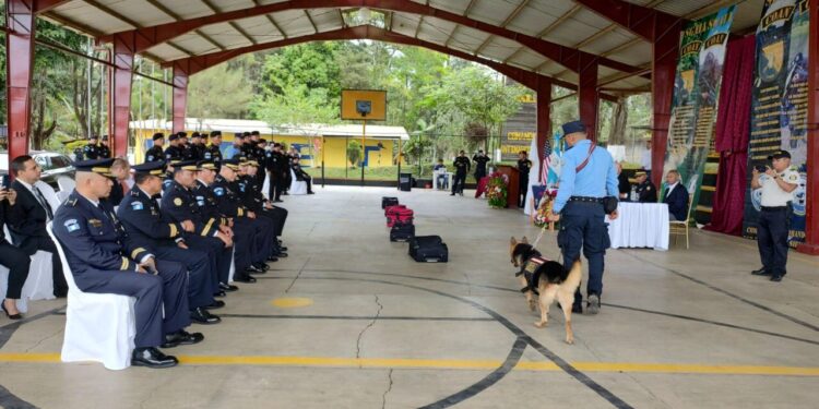 Gradúan a diez guías K-9 para reforzar lucha contra el narcotráfico
