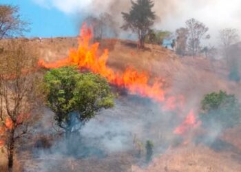 Emiten recomendaciones para evitar desastres por quemas agrícolas